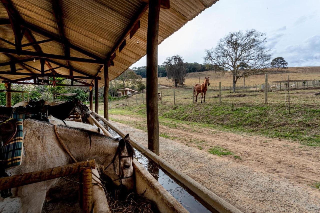Hotel Fazenda Colina Dos Sonhos Socorro  Eksteriør bilde