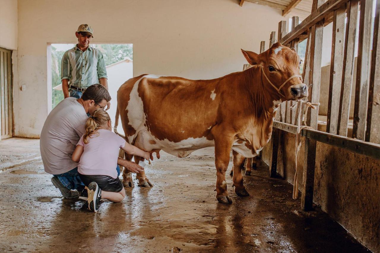 Hotel Fazenda Colina Dos Sonhos Socorro  Eksteriør bilde